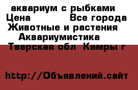 аквариум с рыбками › Цена ­ 1 000 - Все города Животные и растения » Аквариумистика   . Тверская обл.,Кимры г.